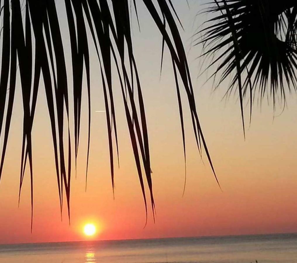 The Palms Resort-Oceanfront Myrtle Beach Dış mekan fotoğraf
