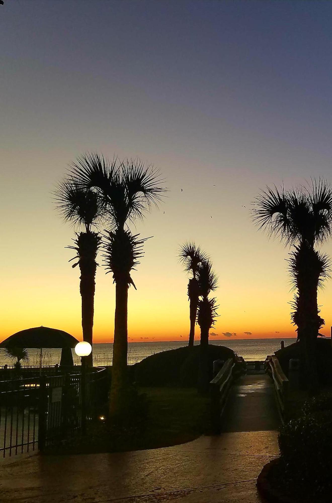The Palms Resort-Oceanfront Myrtle Beach Dış mekan fotoğraf